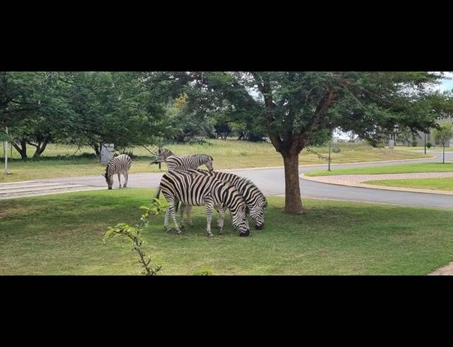 5 BEDROOM HOUSE FOR SALE IN BOSCHKOP